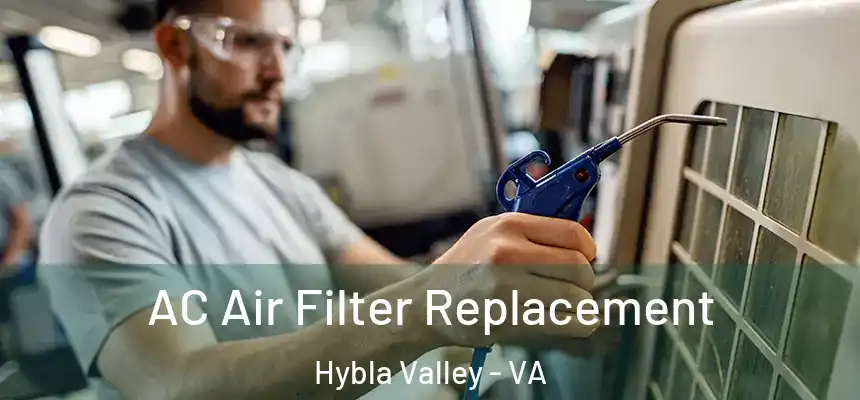  AC Air Filter Replacement Hybla Valley - VA