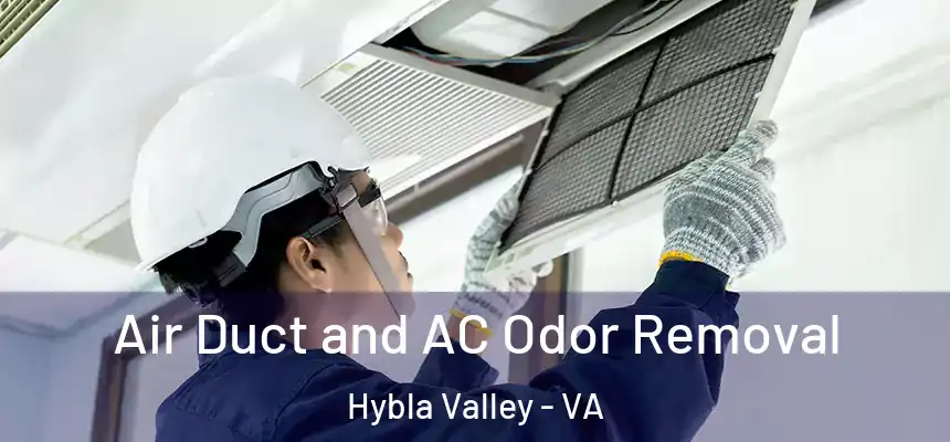  Air Duct and AC Odor Removal Hybla Valley - VA