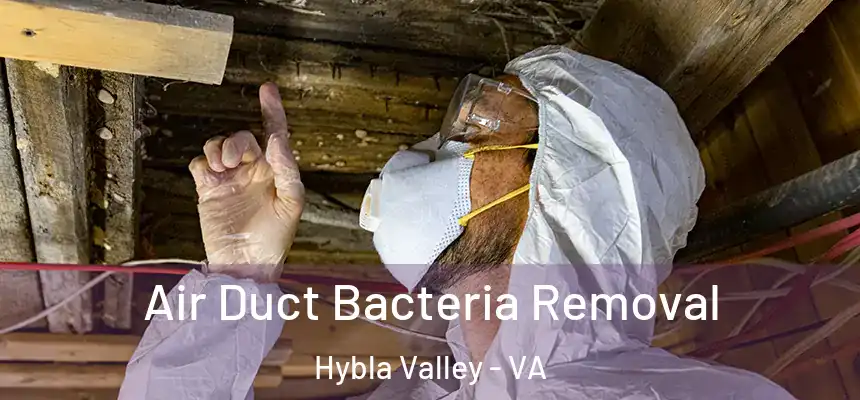  Air Duct Bacteria Removal Hybla Valley - VA