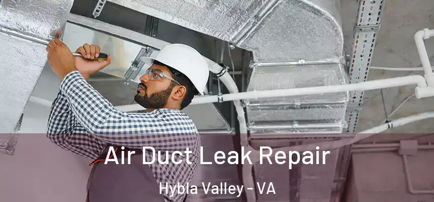  Air Duct Leak Repair Hybla Valley - VA