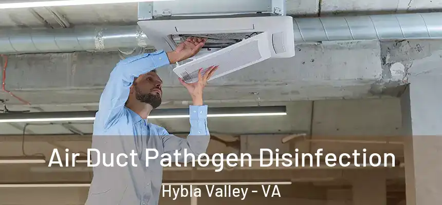  Air Duct Pathogen Disinfection Hybla Valley - VA