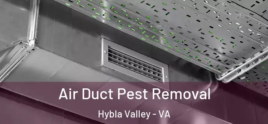  Air Duct Pest Removal Hybla Valley - VA