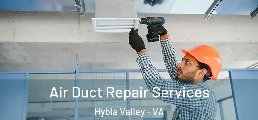  Air Duct Repair Services Hybla Valley - VA