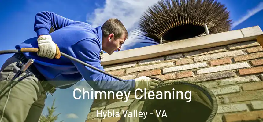  Chimney Cleaning Hybla Valley - VA