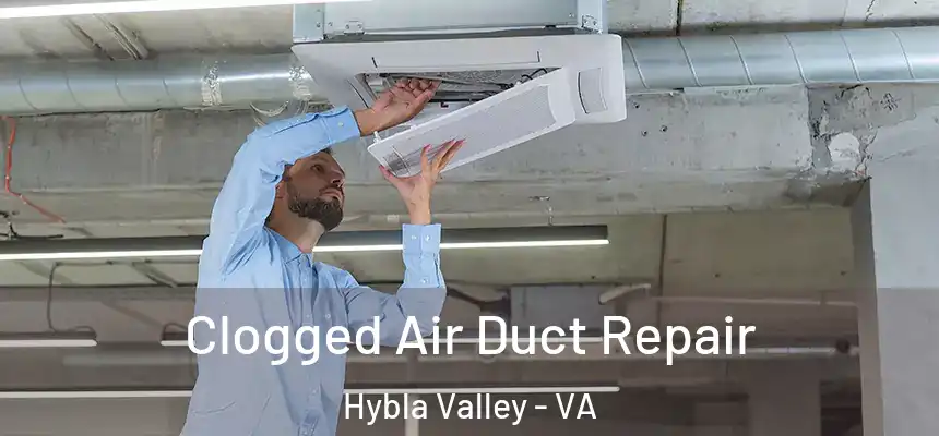  Clogged Air Duct Repair Hybla Valley - VA