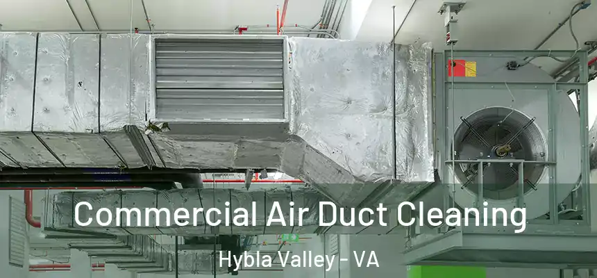  Commercial Air Duct Cleaning Hybla Valley - VA