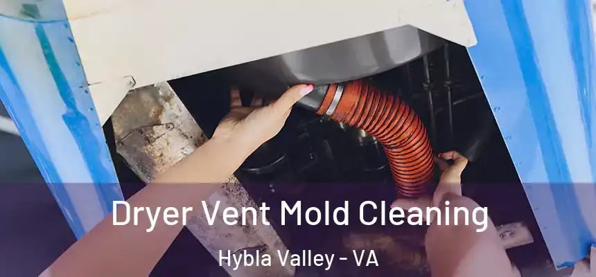  Dryer Vent Mold Cleaning Hybla Valley - VA