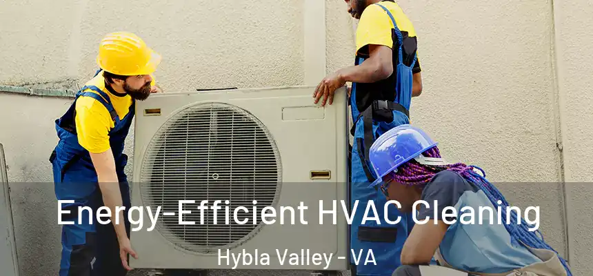  Energy-Efficient HVAC Cleaning Hybla Valley - VA
