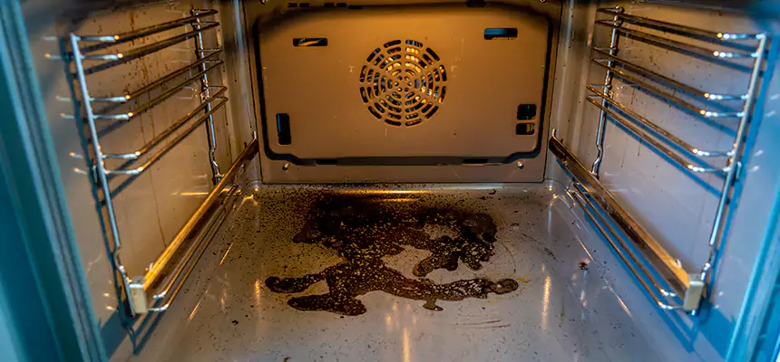 Our Dryer Vent Mold Cleaning Services in Hybla Valley, VA