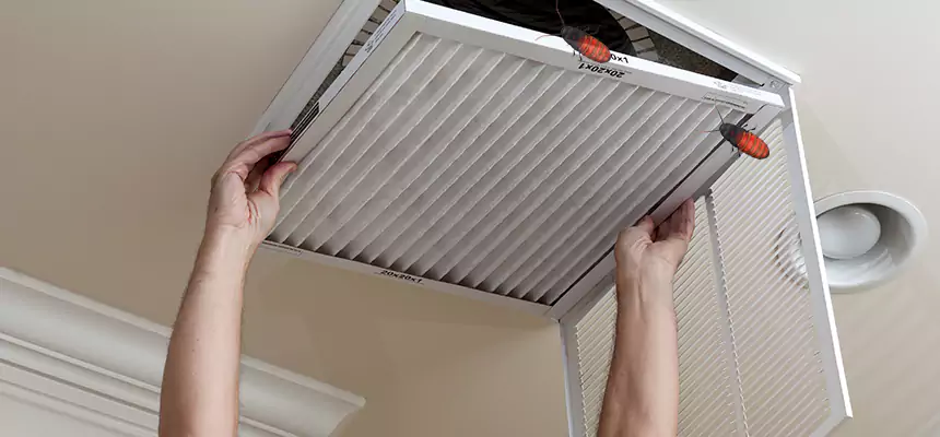 Our Insect Removal from Air Ducts Services in Hybla Valley, VA
