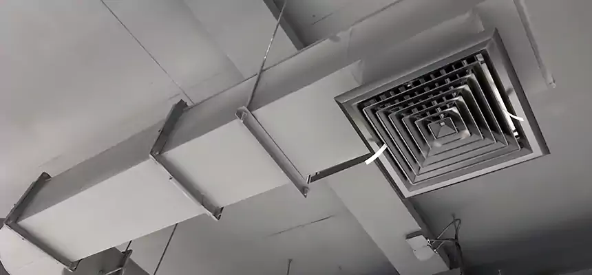 Our Pest Removal From Ducts Services in Hybla Valley, VA