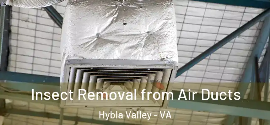  Insect Removal from Air Ducts Hybla Valley - VA