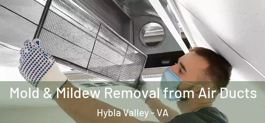  Mold & Mildew Removal from Air Ducts Hybla Valley - VA
