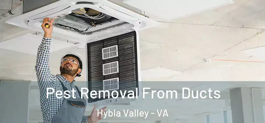  Pest Removal From Ducts Hybla Valley - VA