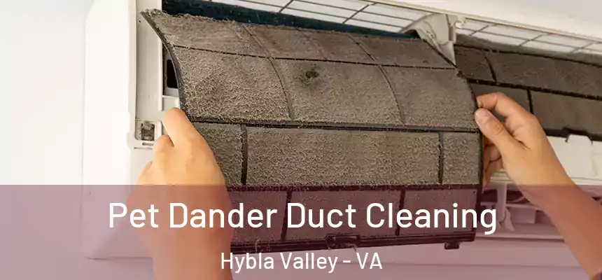  Pet Dander Duct Cleaning Hybla Valley - VA