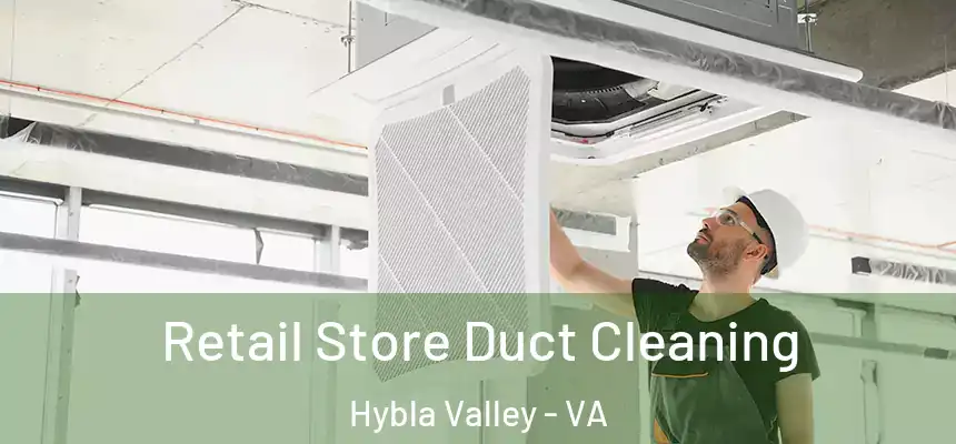  Retail Store Duct Cleaning Hybla Valley - VA