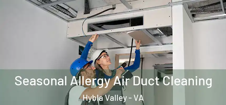  Seasonal Allergy Air Duct Cleaning Hybla Valley - VA