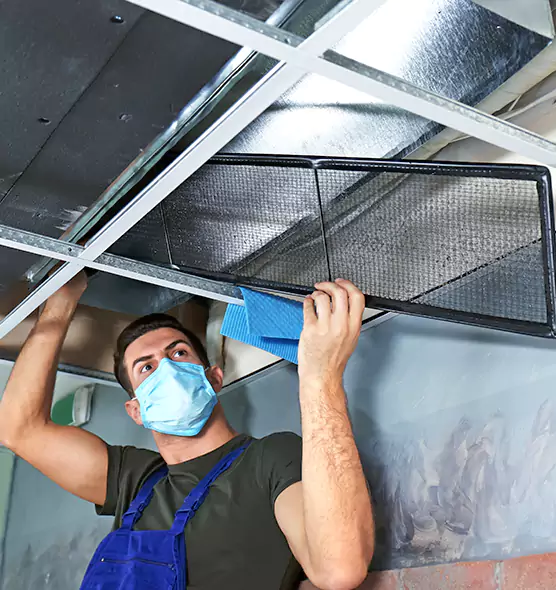 Professional Air Duct Pollen Cleaning in Hybla Valley, VA