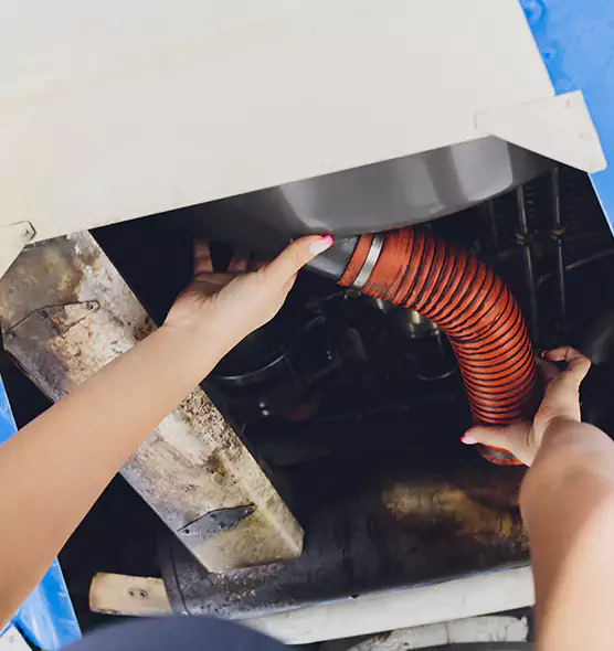 About Air Duct Virus Disinfection in Hybla Valley, VA