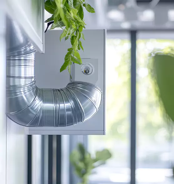 Professional Eco-Friendly Duct Cleaning Services in Hybla Valley, VA