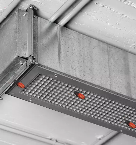 Affordable Insect Removal from Air Ducts in Hybla Valley, VA