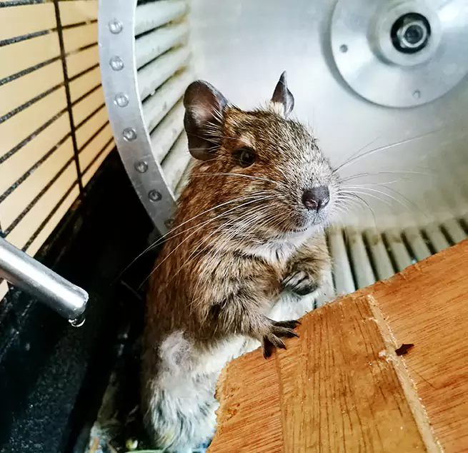 Why Homeowners & Businesses Trust Us Hybla Valley, VA?