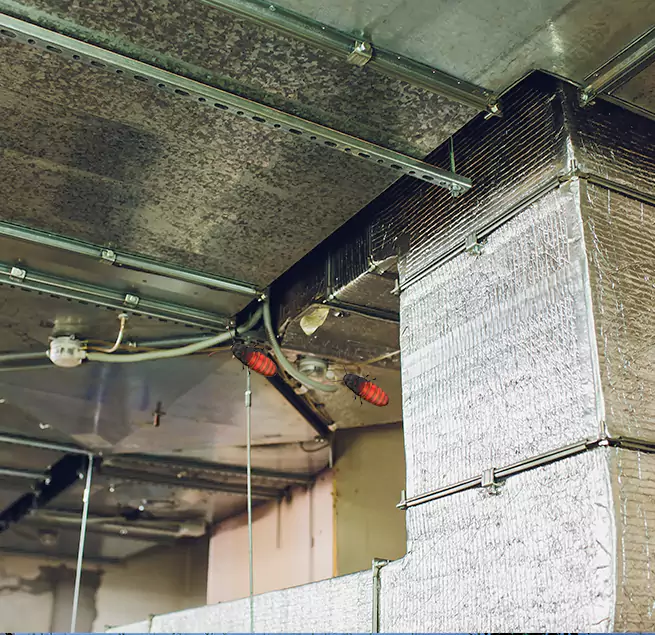 Why Homeowners & Businesses Trust Us Hybla Valley, VA?