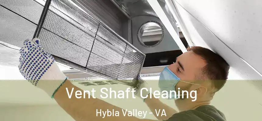  Vent Shaft Cleaning Hybla Valley - VA